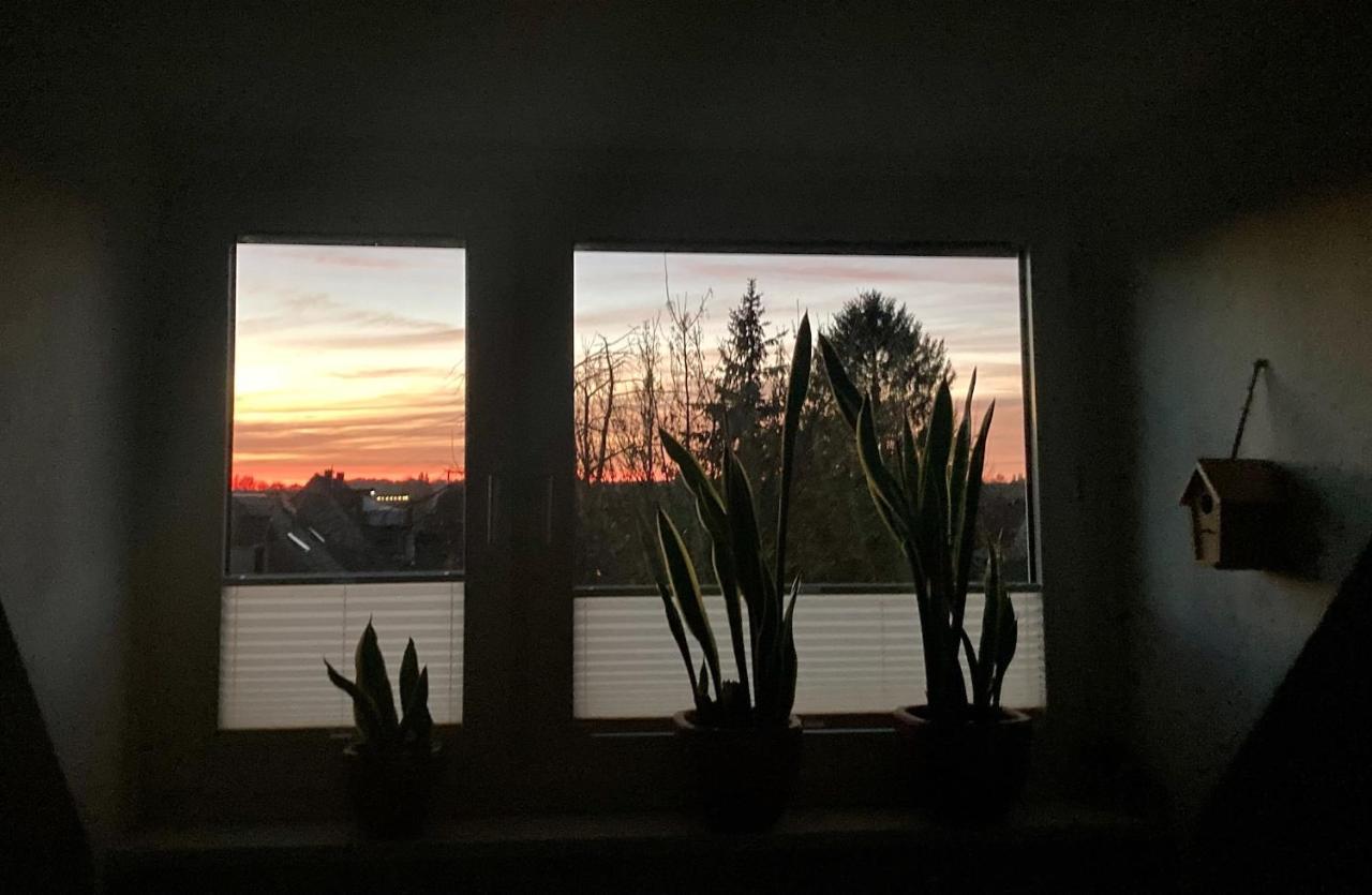 Ferienwohnung Amsel Essen Buitenkant foto